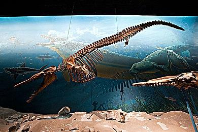 开发者表示《重返猴岛》为该系列的最后一款游戏