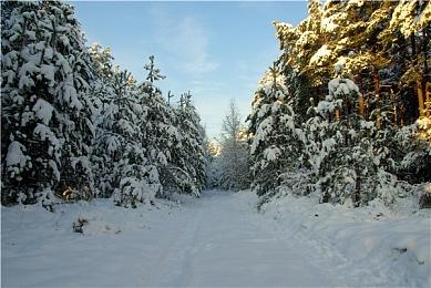 暴雪国服真的要回来了！曝网易将在一个月内官宣